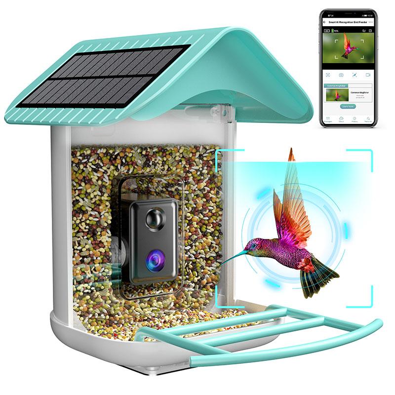 isYoung Smart Bird Feeder with Camera, Free AI Forever to Identify 11000+ Bird Species, Solar Panels Bird Video & Motion Detection Camera Auto Capture Notify (Dual Panel)