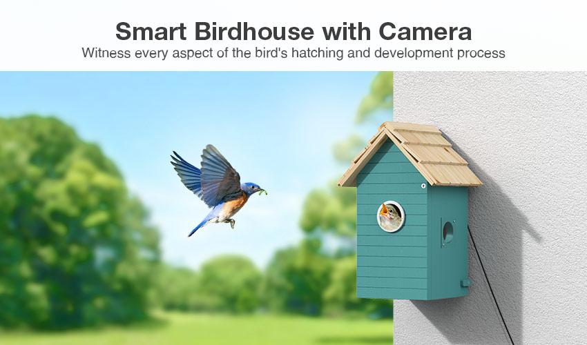 Birdfy Bamboo Smart Bird Feeder With Camera AI Lifetime Free Solar Powered Motion Detection, Black, 3.5L