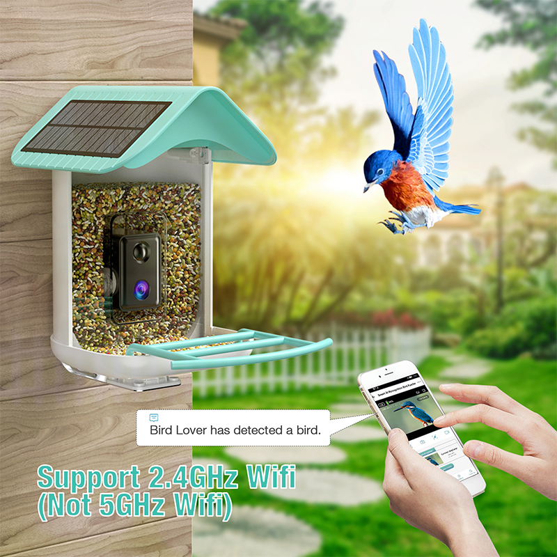 isYoung Smart Bird Feeder with 