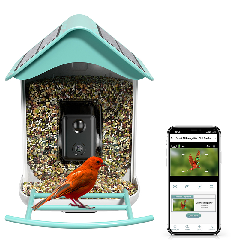 isYoung Smart Bird Feeder with Camera, Free AI Forever to Identify 11000+ Bird Species